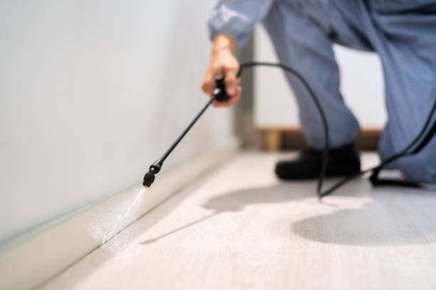Bed Bug Pre-Treatment Preparation Assessment in Amherst