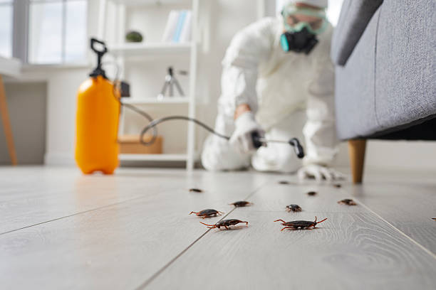 Post-Treatment Bed Bug Interceptor Monitoring in Amherst