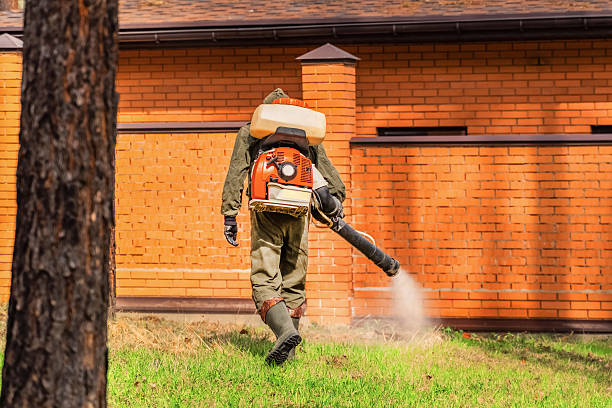 Bed Bug Clearance Verification and Documentation in Amherst